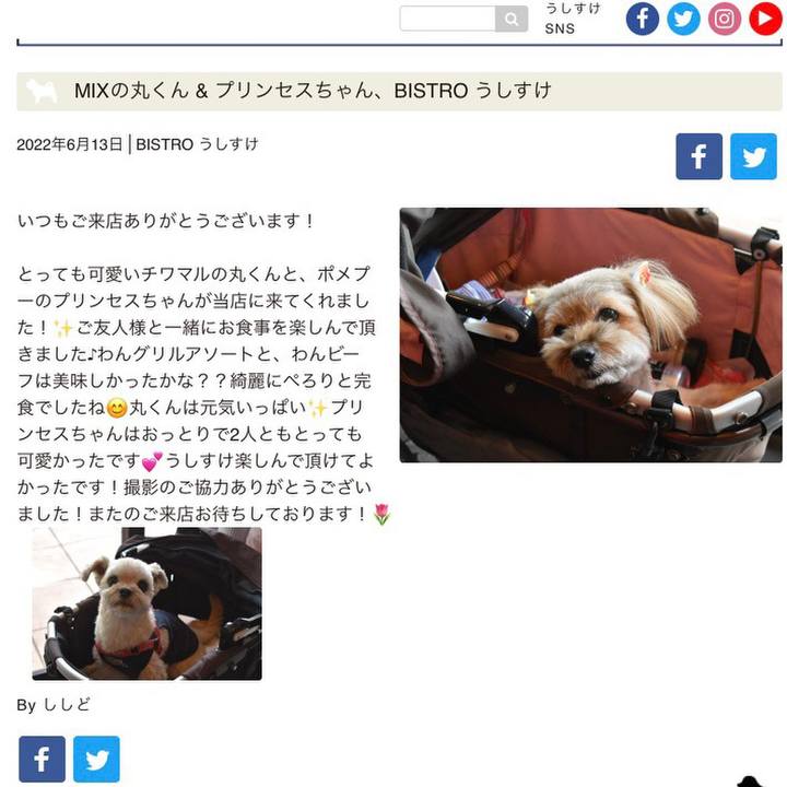 8f463bf5 14e4 4d66 bd52 26a5990c4349 1655127128221