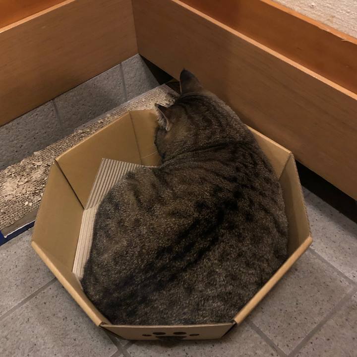 8f4640bd c4b6 42be be3c 4af8903b5bf1 1544087906618