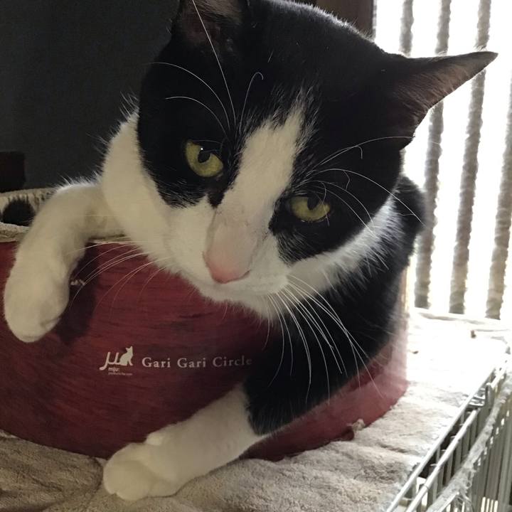 8f467905 7f99 43e3 9253 00efd65eec5b 1752752553332