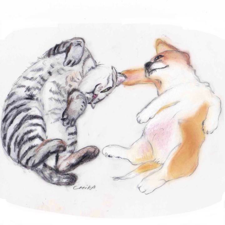 8f467ab8 c0d8 4ed4 9616 ac6c0204b220 1591717034487