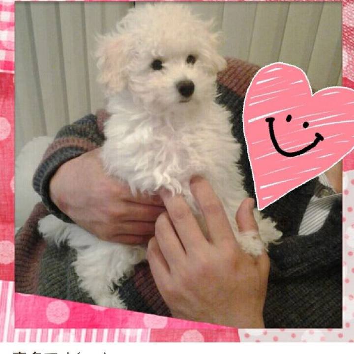 8f46b605 1ddb 489e b764 1f8b239ddb80 1520303538944