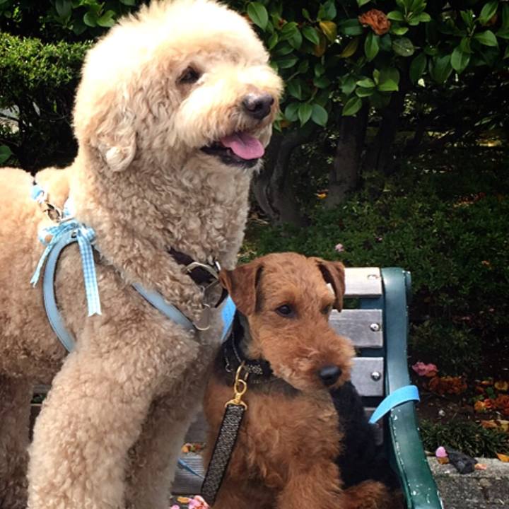 8f46ca09 9410 4f1c bedc 9d232d08e811 1521890892274