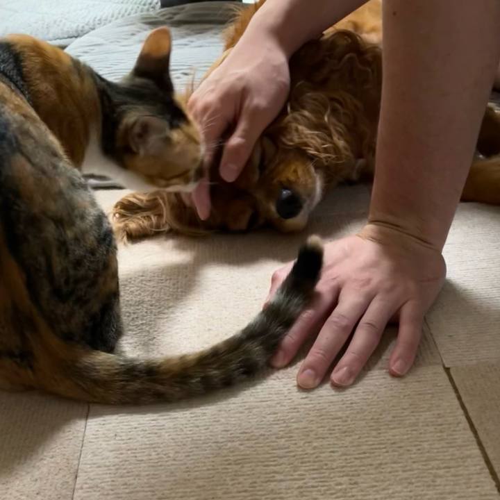 8f46df1e a569 4b5b ba26 99a8b5413e0a 1659743518427