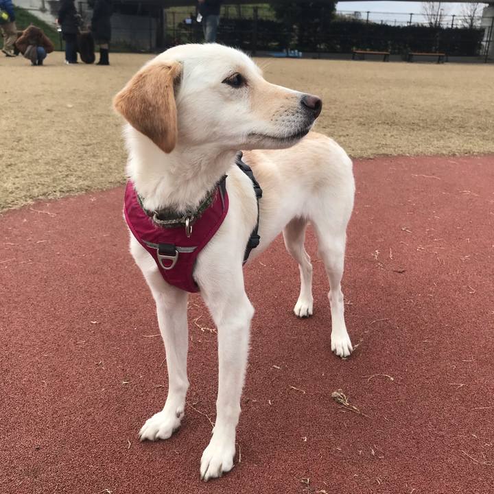 8f46e547 60a1 410f b28a 55c25c1094a9 1577801296054