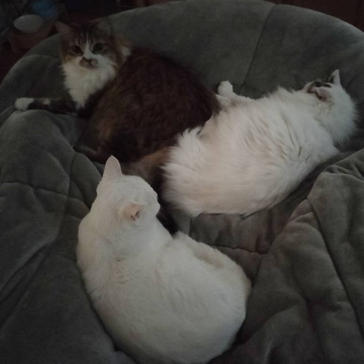 8f47413b 1e10 4f14 bb99 5b4ab35ca07f 1768448671199