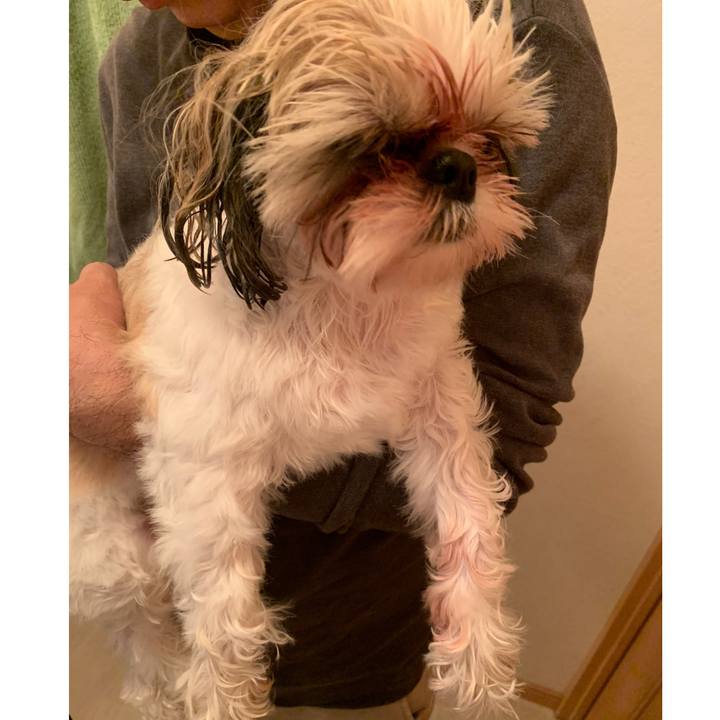 8f474d1d cfda 45dc 8e1e b6750772a993 1616300233916