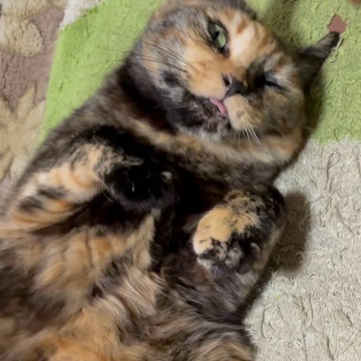 8f475e00 633f 44cf a65c c0a2e54b6f28 1747594599008