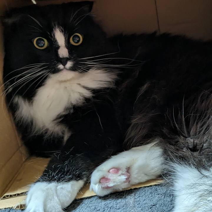 8f47b601 6ce4 41ff b051 9d19e817bddb 1717320663798