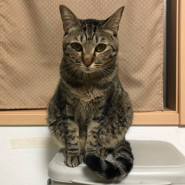 8f47e0b6 5497 4979 93c9 e766727964c8 1539717235383