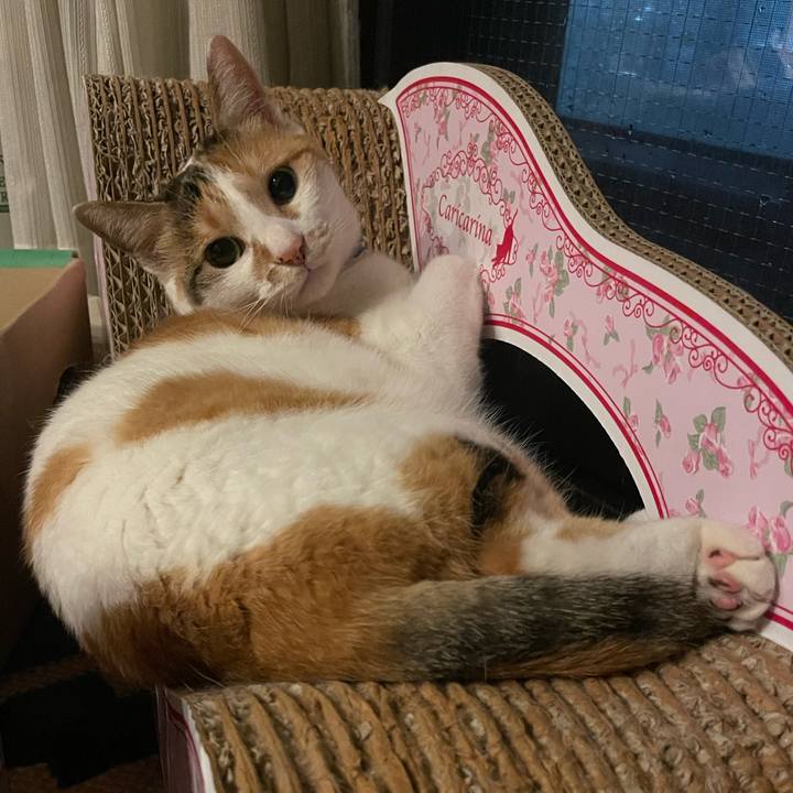 8f47f879 682f 4d00 b8af debebdc40284 1721656455919