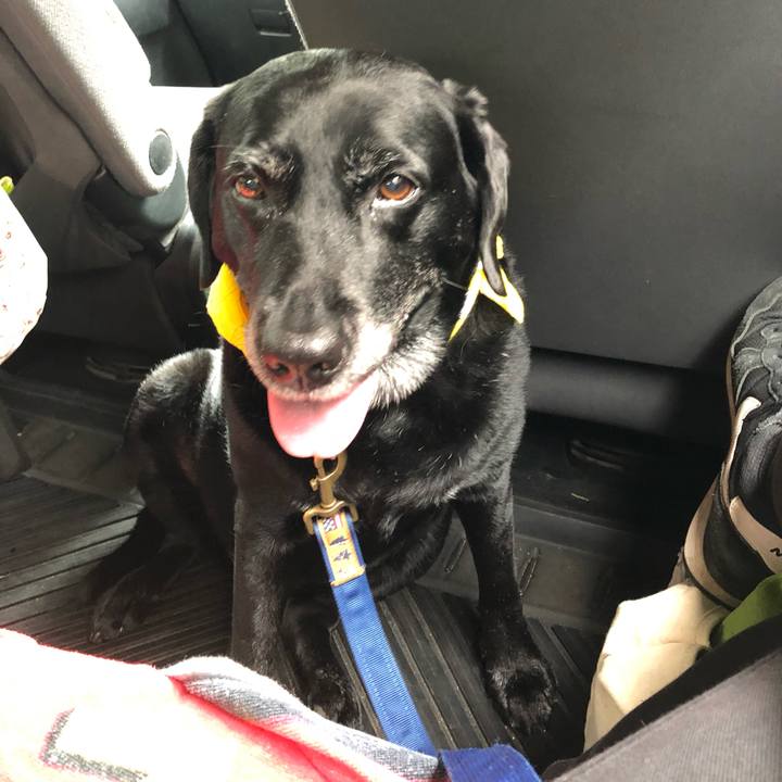 8f484b40 d954 469b a002 dbd7a53b23a5 1560045499946