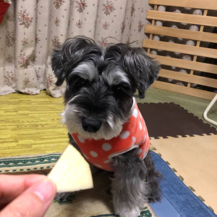 8f4865aa 2d70 451f 889c a9fecd572db0 1670772277881