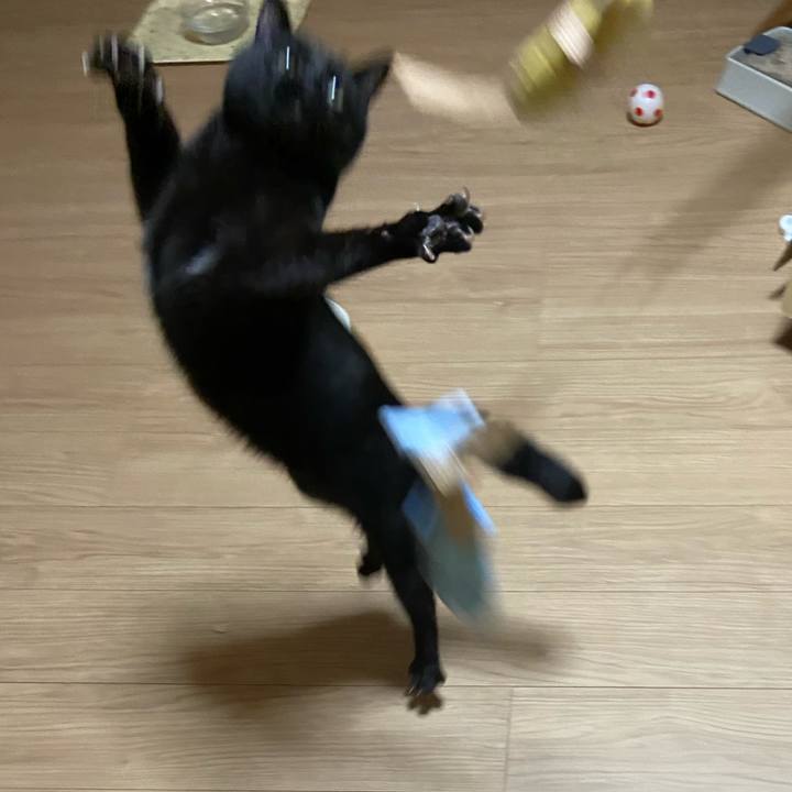 8f487aaf 46c7 4721 b7e8 c3694a31494c 1624275641725