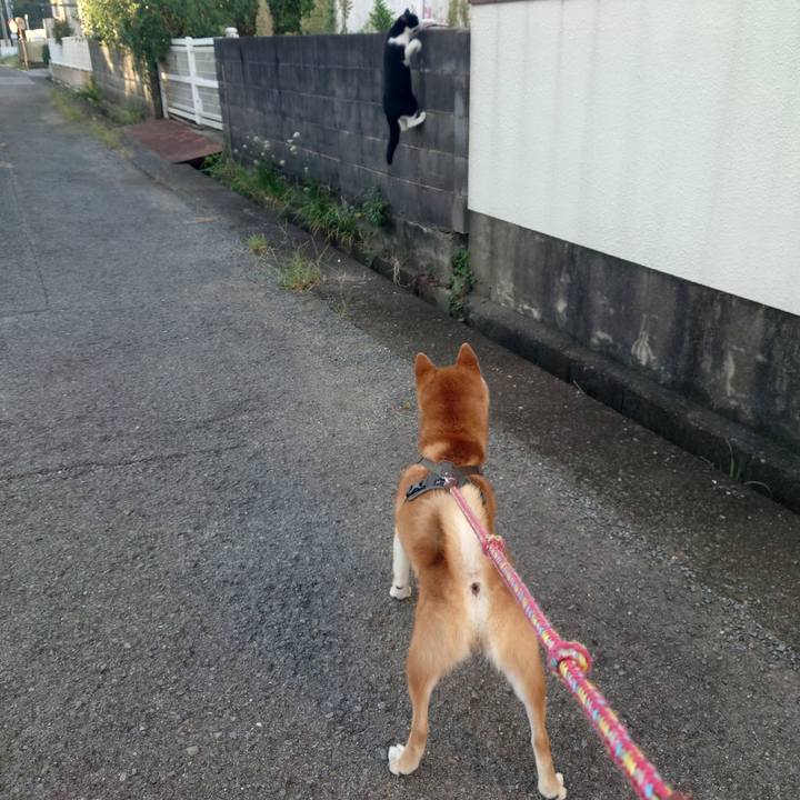 8f487ddd dccb 4dd8 a708 3a0ec227c131 1758332825824