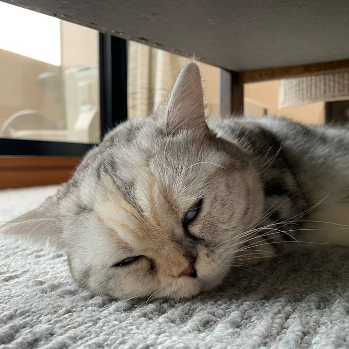 8f48c132 9c25 4d69 a93d 6ecf799e2bc5 1705559973739