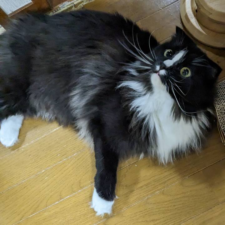 8f49050f c963 444e b500 0a5701b2de10 1682780794526