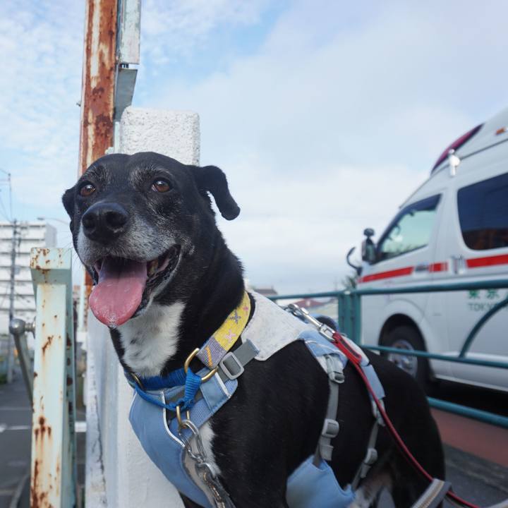 8f490870 c025 4b2f a607 b819061dbf43 1755387509582