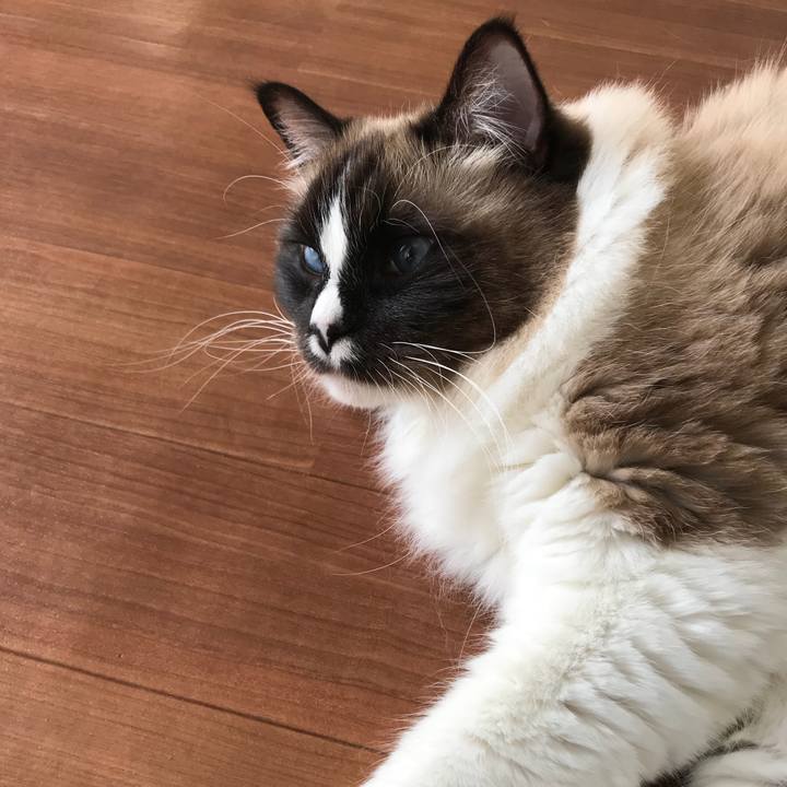 8f497291 7a54 4ed7 aaad b505b9a660d7 1515807661335