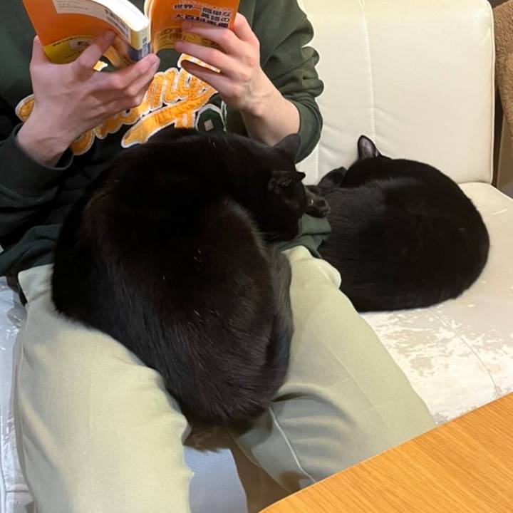 8f497a3c 58d3 4313 8939 ac1bda658f5b 1667111997146