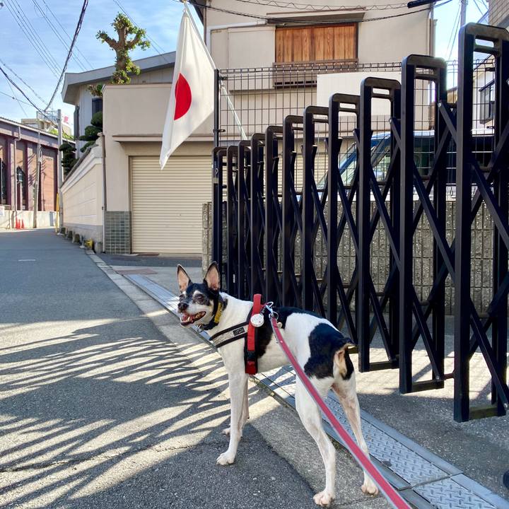 8f4986f2 cbbe 4faa a6f8 400861e01f64 1600750180042