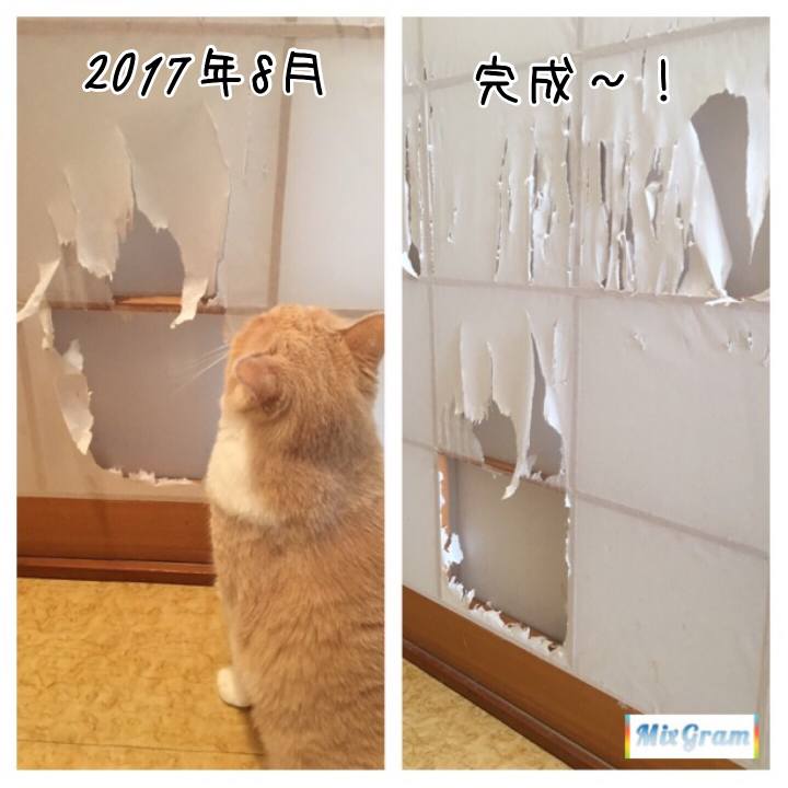 8f49a517 e31c 45ff acc4 89a1db7d8f91 1516243173888