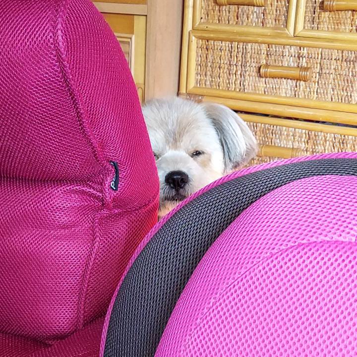 8f49bb15 c13b 427b 94cb 82ae16b62655 1618870913522