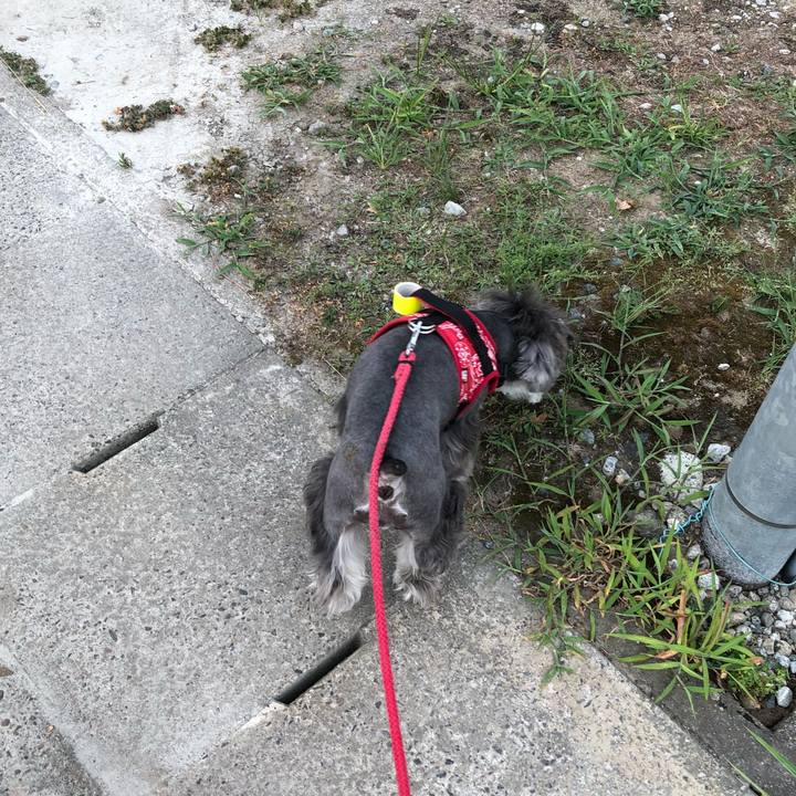 8f49bb75 346d 4210 baeb 83bc579425a2 1532724607011