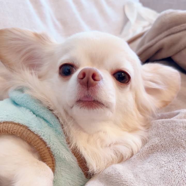 8f4a032b 62e9 4115 b418 be57b913f9f8 1732661392190