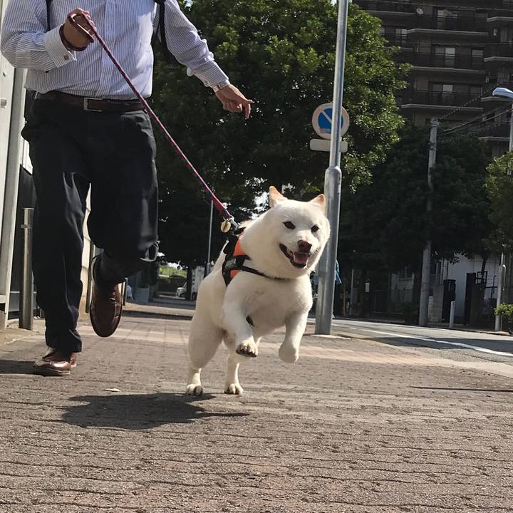 8f4a49e6 5ebf 42f9 a3e2 28c4a78fe53a 1532650277775