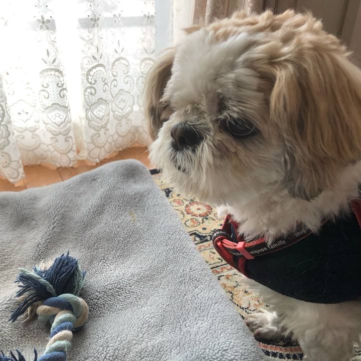 8f4a4c08 5458 45b8 b612 f65d0c718afb 1616105668600