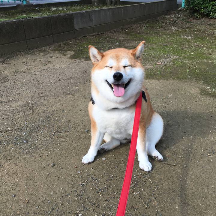 8f4a7380 65b2 48ed 9fb0 f9fd7f58e7b8 1595231920270