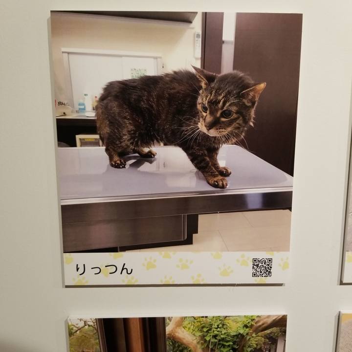 8f4a8765 1fdd 4b88 ac34 9ccc3d0cfe48 1592631378357