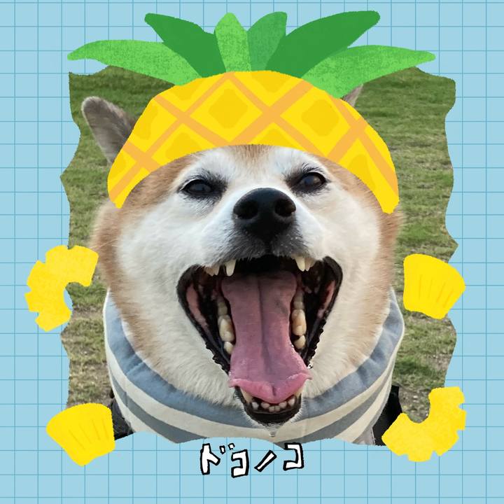 8f4ab9f1 9bf6 462d a7b6 7feee8472f2c 1783310952483