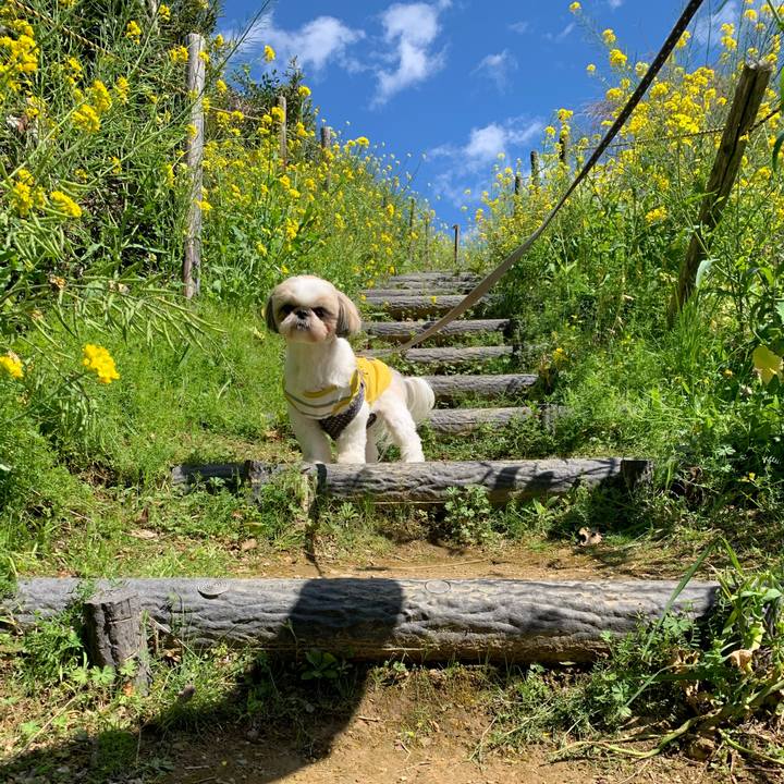 8f4ac263 a39f 4ccc 837e 3c4af675fd2f 1584278321858