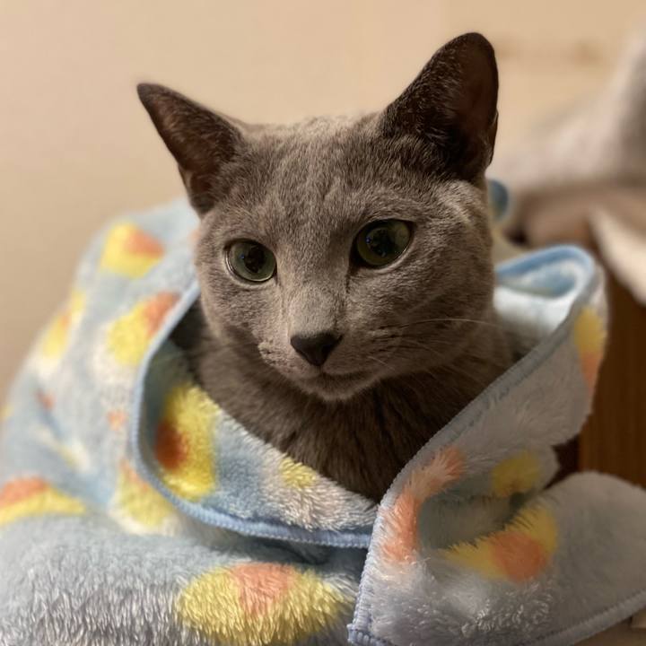 8f4afea0 f973 46b2 93f6 26ef5f5305cc 1640569519589