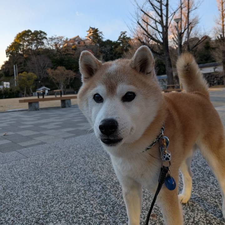 8f4b26ac ffad 43bc b73b 82fc78cd57b7 1767427733328