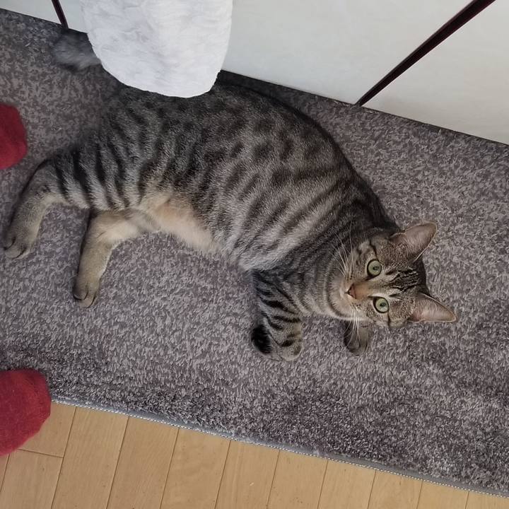 8f4b6d57 d06d 45a3 a938 d5114dd9e233 1688730049062