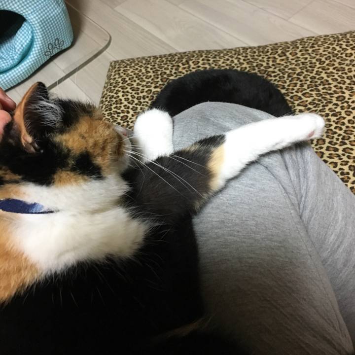 8f4bd712 52d0 48cd a242 121e10928966 1514203299436