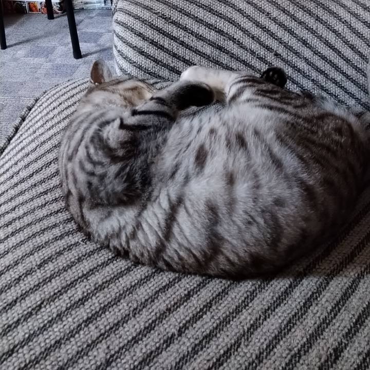 8f4be857 ae4d 4810 9ec8 8b54bb9012bf 1687616456629