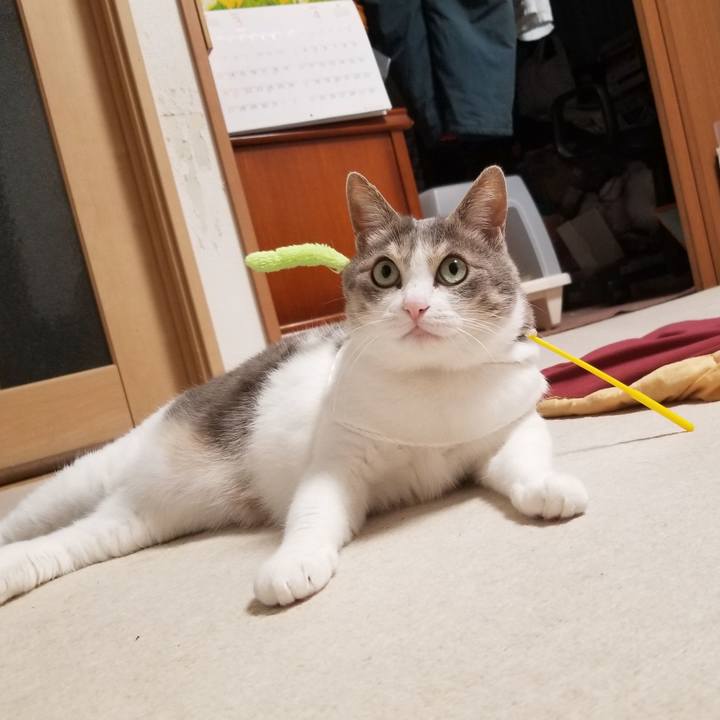 8f4beda2 6280 4019 a63d e1e5006ca9c2 1648348555666