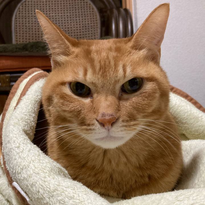 8f4c4d39 0116 4d89 9bc2 6488dfc4467c 1769174177939