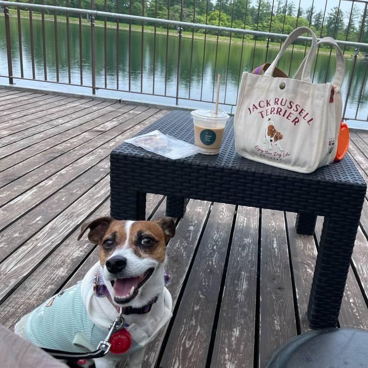 8f4c7795 368c 4aad ae27 5874ac1c98bf 1716789231515