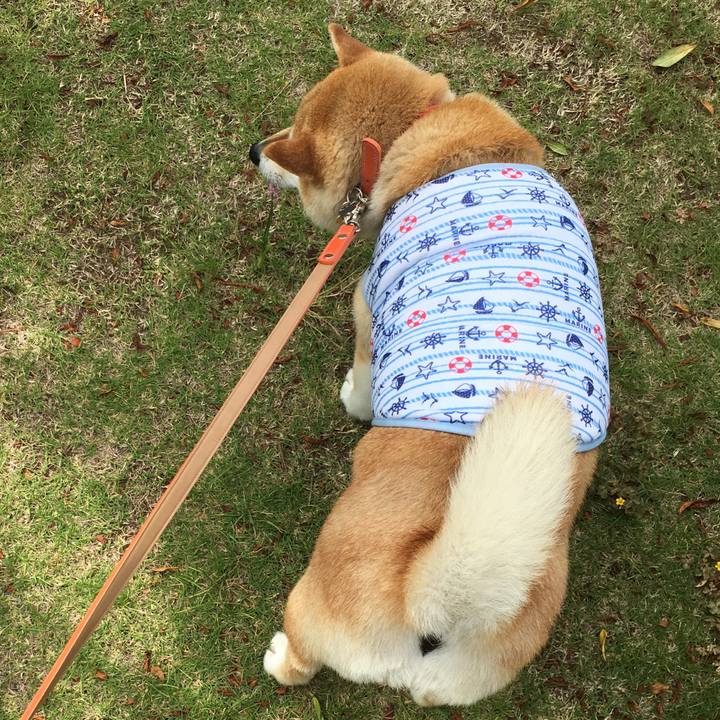 8f4ca0ce d0c7 4576 8ed2 af900a83250e 1561162661541