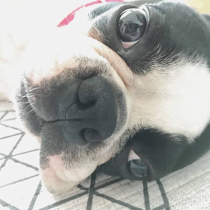 8f4ce93e 1b21 4a6f 9663 65b8e8212951 1523937400727