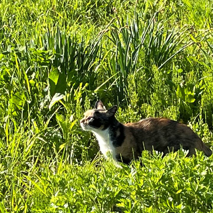 8f4d52f0 4931 4531 8ae0 3329c8fbd0af 1651531830622