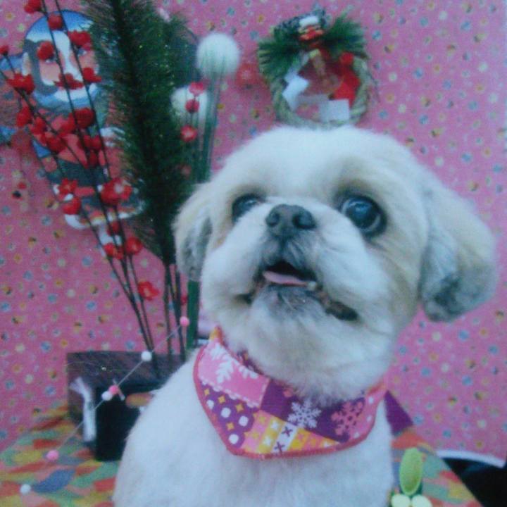 8f4d557d a075 4059 bf22 02c1ccfa9e23 1510961621192