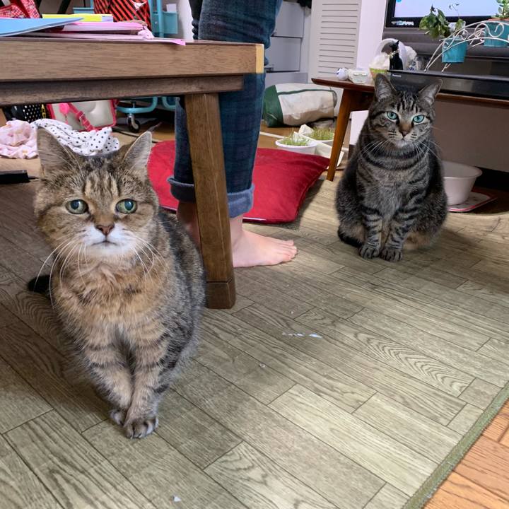 8f4d5a65 9661 4fed 8306 8c14c87a2b3b 1584859577725