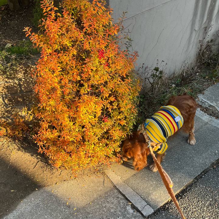 8f4d8412 6dbd 49c7 ae7c bf1410230c1f 1704586352719