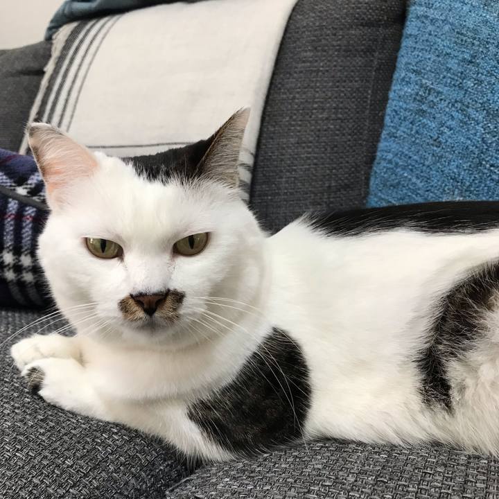 8f4daf04 adec 45b5 868c 2d29a784c2a5 1541741849657