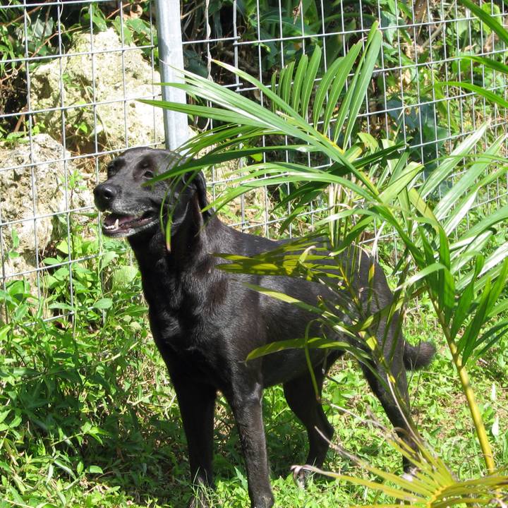 8f4dd869 5e7a 4e87 916a 9def53d97dff 1523108302652